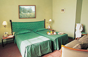 Hotel Kyriad&spa Centre 3*