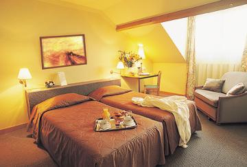 Kyriad&spa Centre 3*